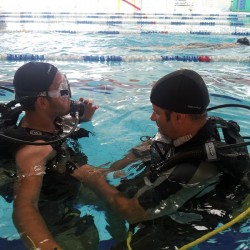 20140917_135506 [800x600]